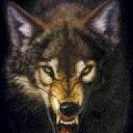 Bal3Wolf